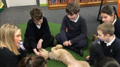 Therapy dog introductions