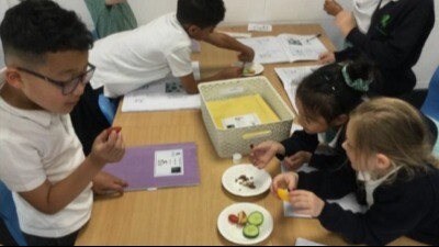 Year 2 science update