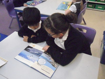 Year 1 T2 Sharing stories with Year 4 reading buddies