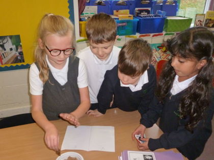 Year 3 T2 Pankhurst - Science Forces and Magnets