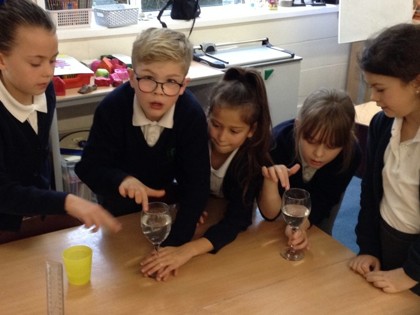 Year 4 T2 Newton - Science