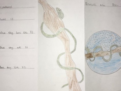 Ruby would like to share her themed learning with Miss Sinfield. She practised her handwriting and wrote out her animal facts before doing her final leaflet.  She’s enjoyed learning about new animals, making posters and working hard on her fractions.
