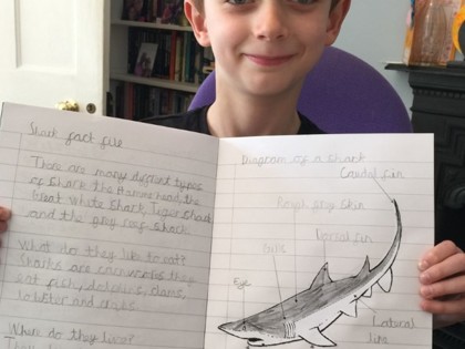 Max from Peake class really enjoyed learning about sharks!