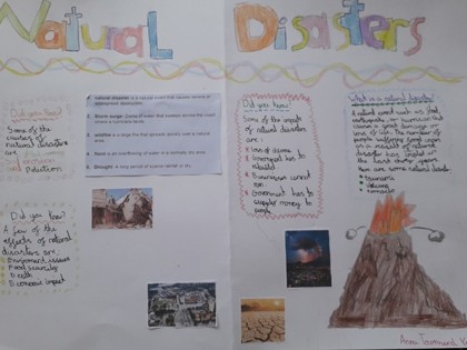 Natural Disasters poster by Anna.