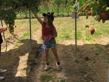 Sophie has been strawberry picking this week and making cakes! She has worked hard on her reading, times tables and English and has found the maths videos from Mr Martin very motivating. She misses coming to school and her friends.