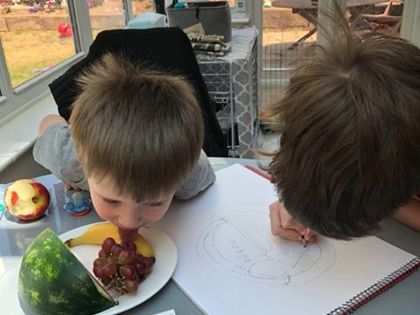 Brody is undertaking his themed learning today drawing a plate of fruit ready for painting.  It’s a tricky task when his brother is trying to eat the fruit whilst Brody is drawing it 