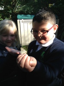 Year Two have been scientists studying the life cycles of humans, frogs and butterflies. Over the weekend our butterflies emerged and we were very relieved that they waited for a dry few days to do this. We set them free and some fluttered away.